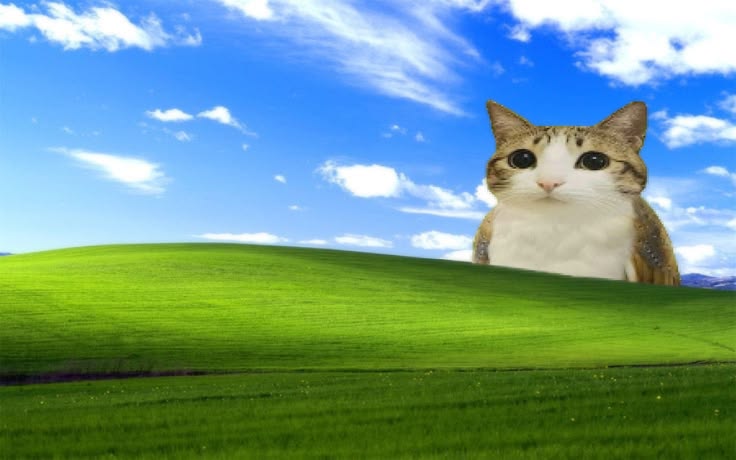 Banner de kzh
